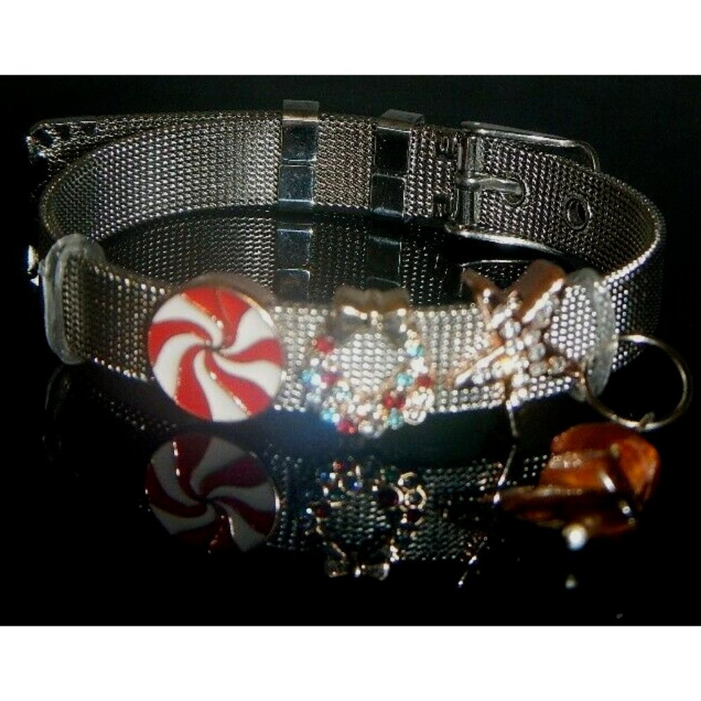 Tiger Eye Gemstone- Stainless Steel Mesh Keeper Bracelet-Band-Slide Charms-552
